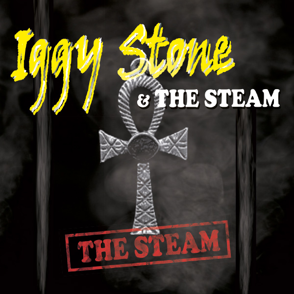 cover_thesteam